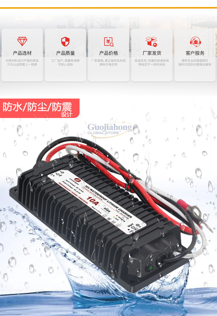 Зарядное устройство для литиев – обзор и цена Lithium Battery 12V